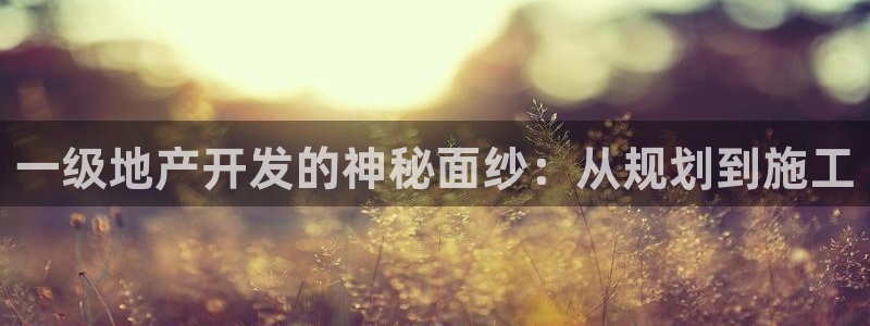 永利宝高管