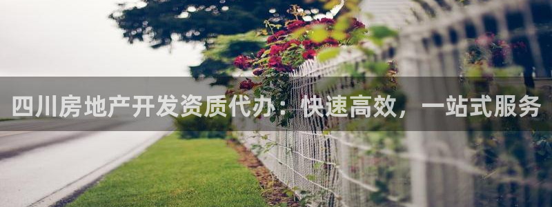 3044am永利集团公司背景