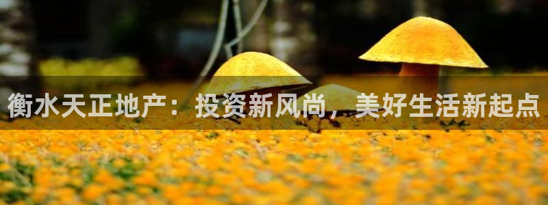 永利皮带报价