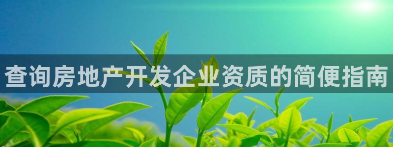永利带业集团2020年的业绩状况
