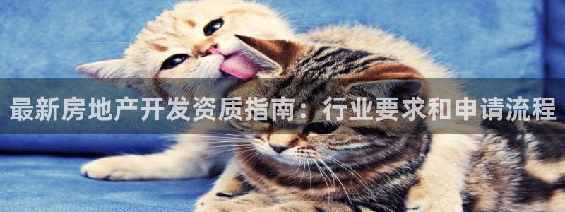 永利玩具厂怎么样