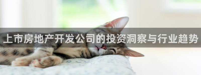 永利皮带官网价格查询表