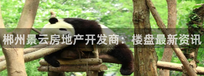 永利会员卡有什么用