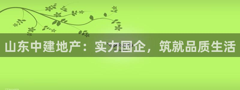 永利皮带报价