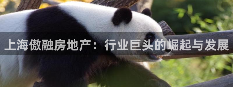 永利公司简介