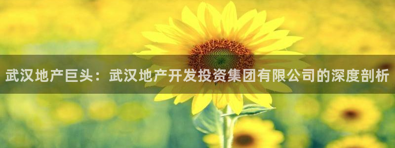 永利批发市场在哪里