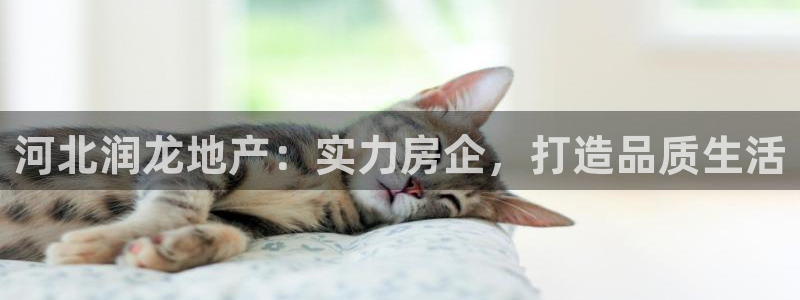 永利水泥制品厂