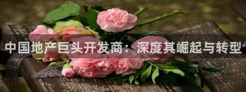 永利汽车零部件有限公司