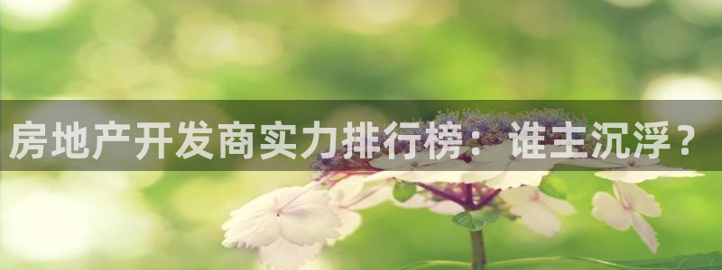 佛山永利工业皮带厂家