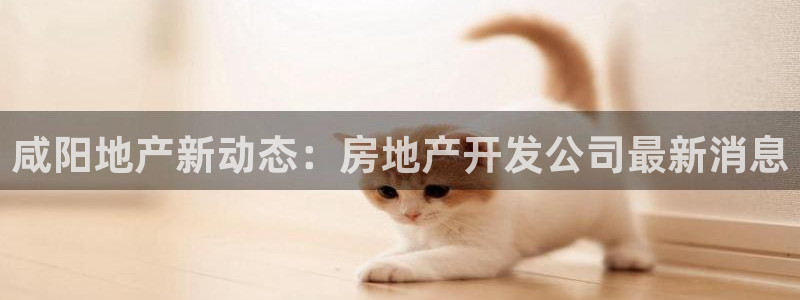 永利股份产品介绍