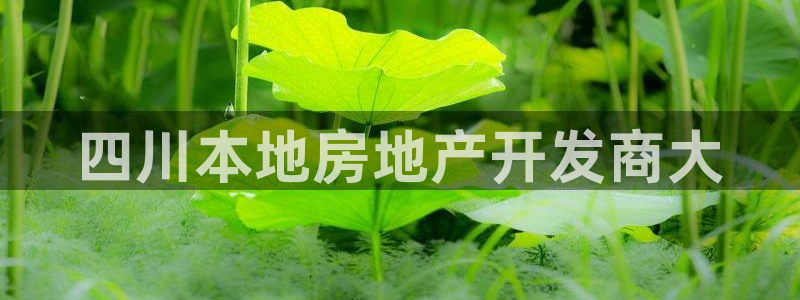 永利背五厘正常价格