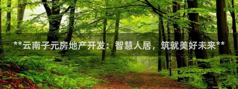 永利中国的老板是谁