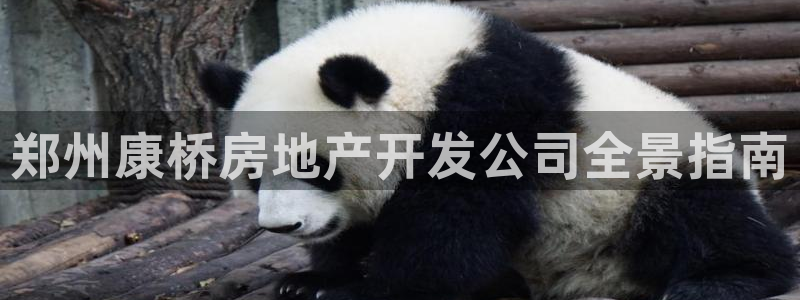 永利房地产开发有限公司