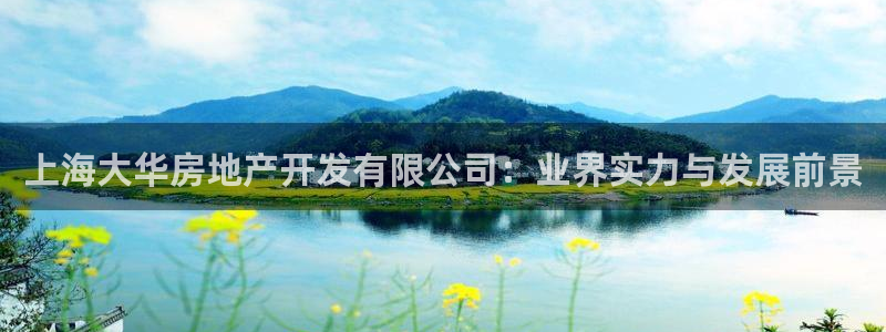 永利打不开
