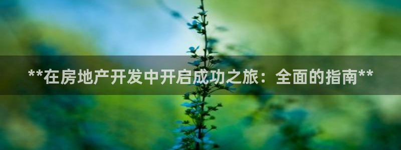 永利股份怎么样