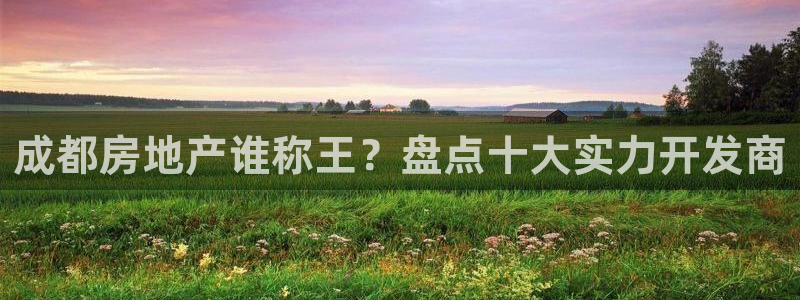 永利带业股票