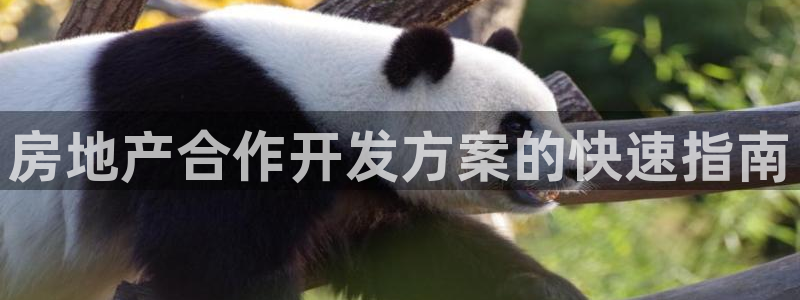 永利家具厂怎么样