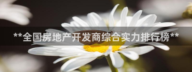 永利皮带报价查询