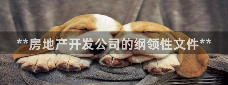 永利置业有限公司