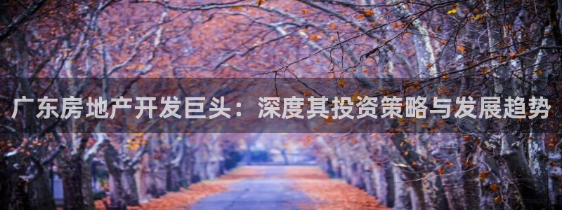 永利背一分