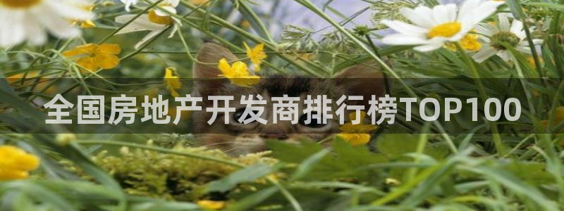 永利纺织