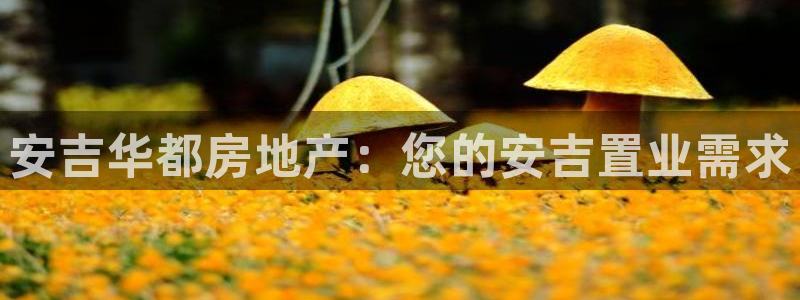 永利集团304am官方入口版