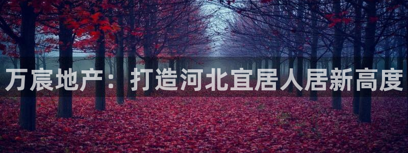 澳门永利集团简介