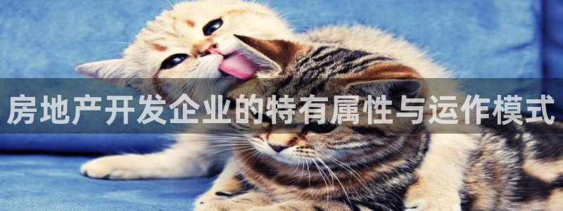 永利股份怎么了