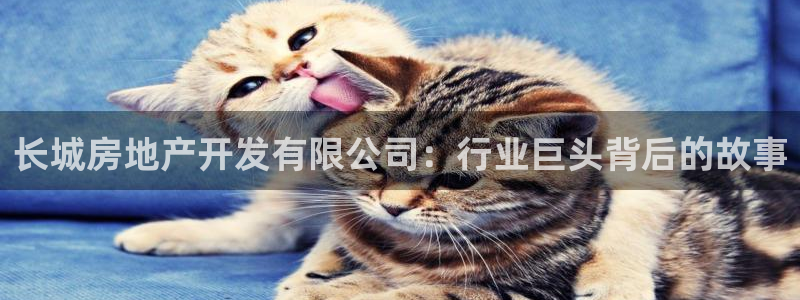 永利官网服务承诺在哪