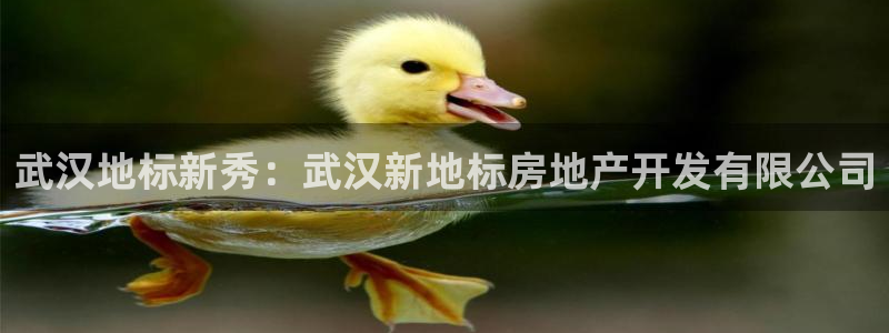 永利积分卡的级别