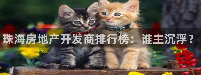 温州永利皮革有限公司