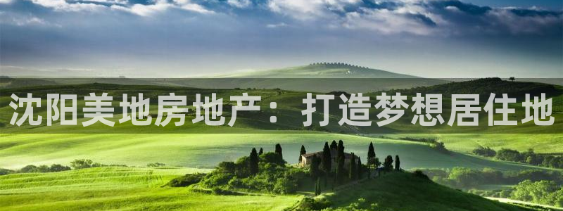 永利汇茶具官网