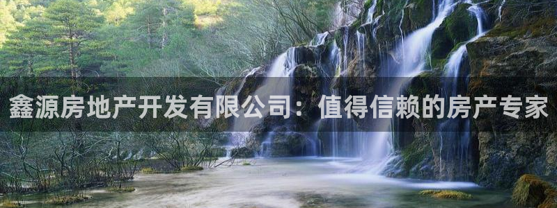 永利集团董事长
