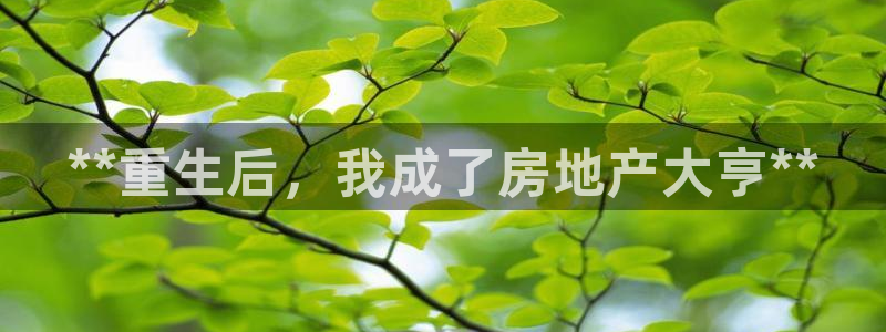 永利皮带报价查询