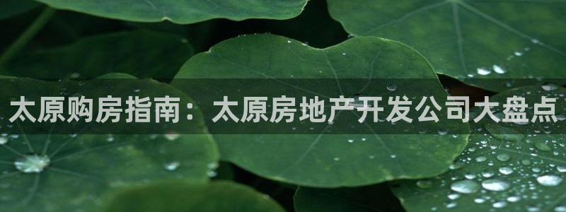永利建材有限公司