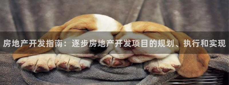 永利网是干什么的,能挣到钱吗安全吗