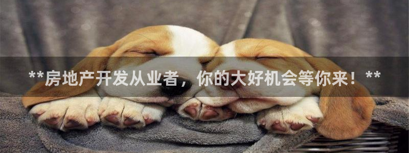 永利皇府黄立青身价