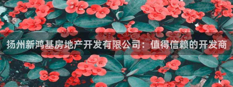 永利地产怎么样