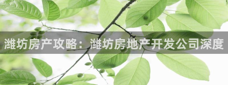 永利背一分什么价格