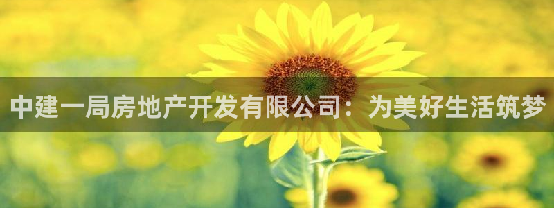 永利玩法