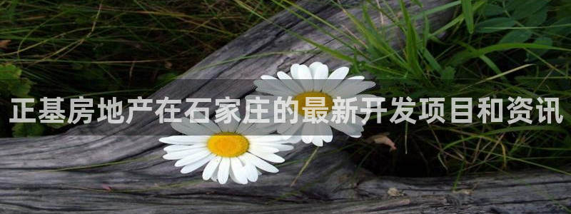 永利会员卡级别及福利