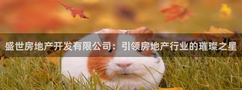 永利老板的名字叫什么名字