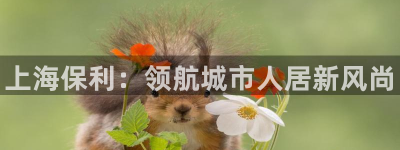 永利股份利空消息