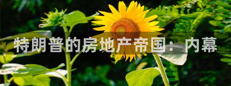 永利橡胶有限公司