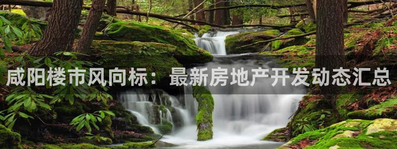 永利股份今日价