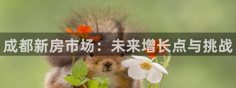 有人在永利赢过钱的吗