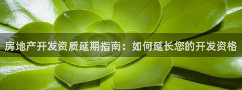 永利技术有限公司