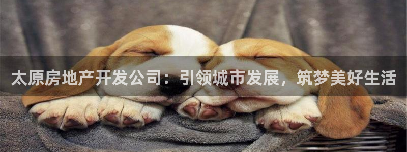 为什么永利网址打不开