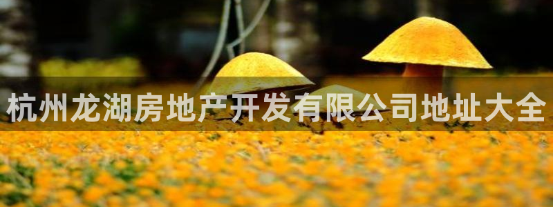 温州永利皮革有限公司