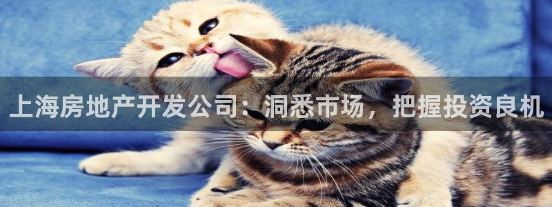 永利纺织有限公司